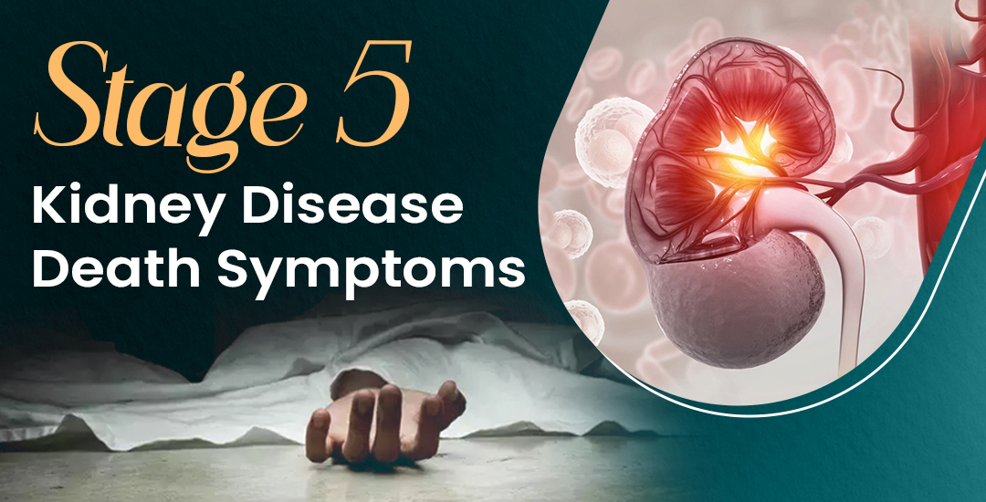Stage 5 Kidney Disease Death Symptoms